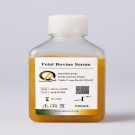 AQmv09900-500ml 特級胎牛血清（FBS） 500ml