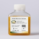 AQmv06600-500ml 優(yōu)級胎牛血清（FBS） 500ml